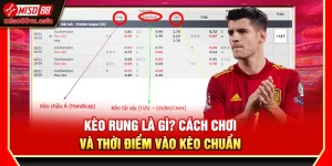 Kèo Rung Là Gì? Cách Chơi Và Thời Điểm Vào Kèo Chuẩn