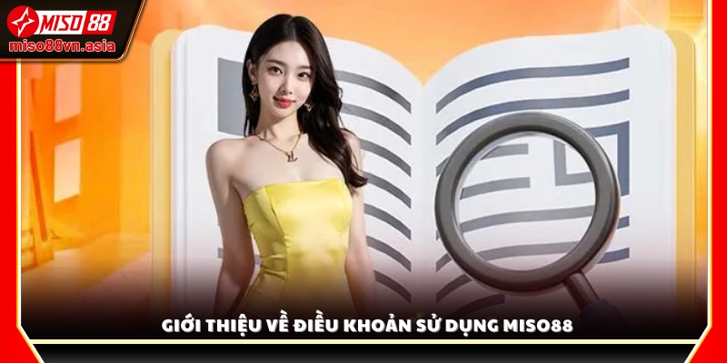 Tổng quan về các quy định và điều khoản sử dụng Miso88