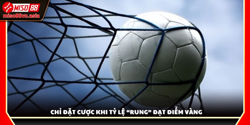 Lưu ý chỉ nên vào kèo khi tỷ lệ biến động đạt ngưỡng lý tưởng