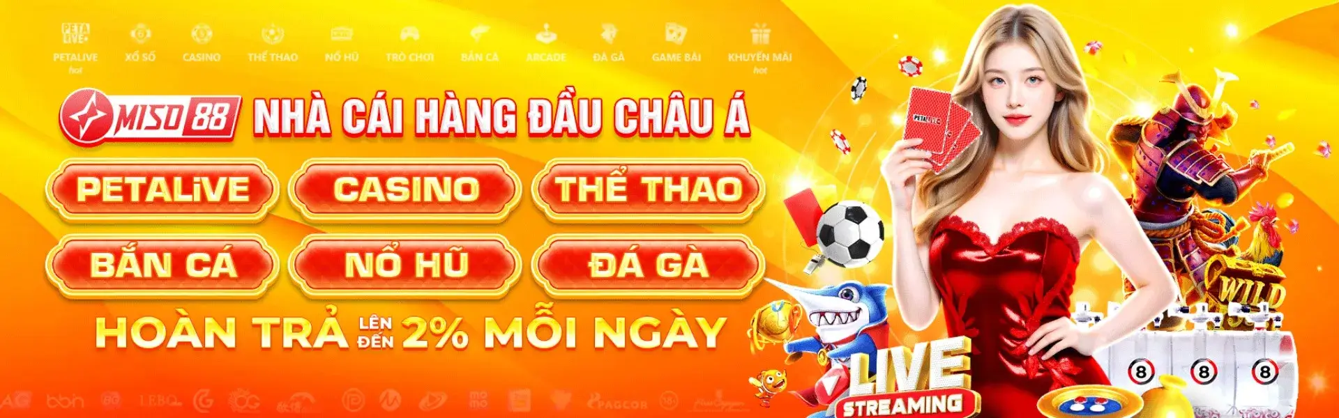 miso88 - Nhà cái uy tín hàng đầu